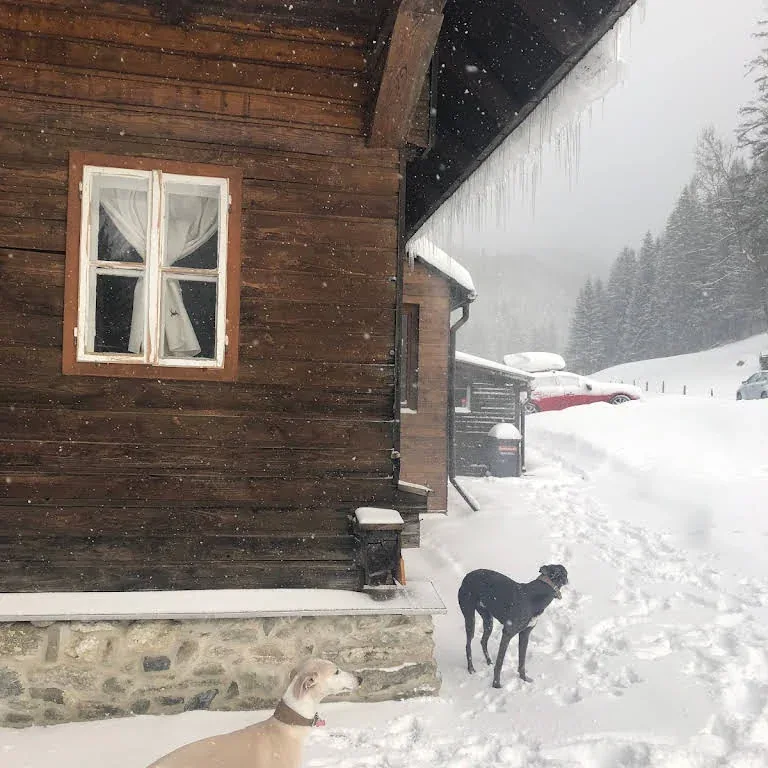 Verschneiter Außenbereich