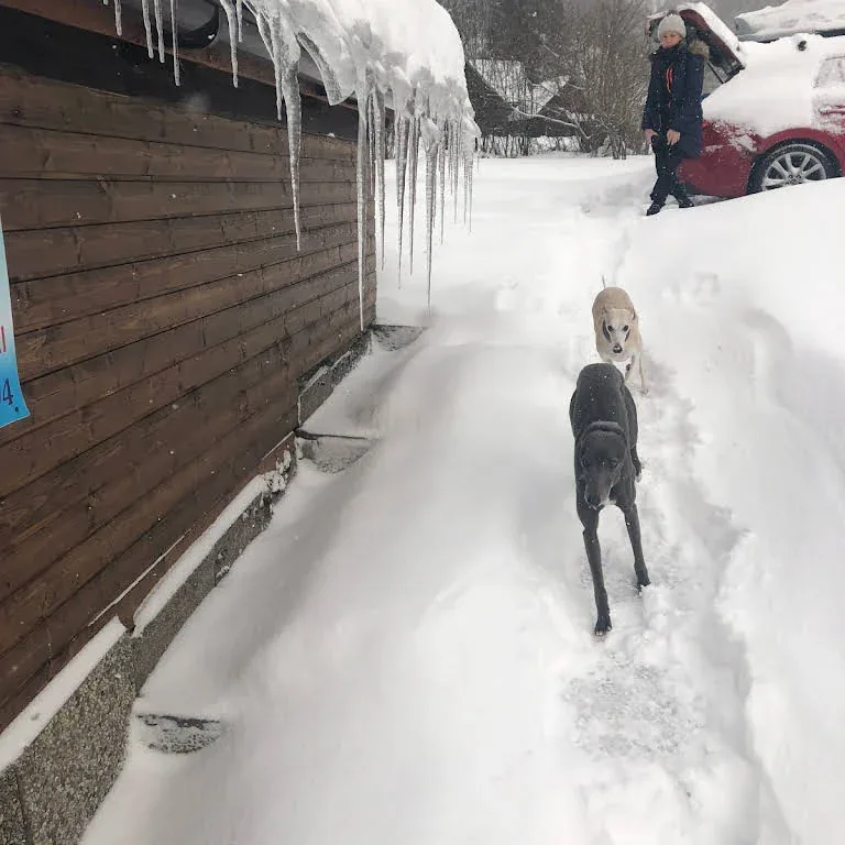 Spaziergang im Schnee